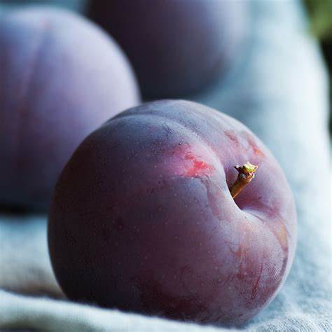 Cashmere Plum